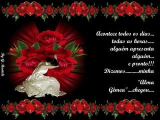 Acontece todos os dias...      todas as horas.....     alguém apresenta alguém...      e pronto!!!      Dizemos...........minha "Alma       Gêmea"....chegou.... 
