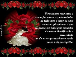 Vivenciamos momentos e      sensações nunca experimentados     ao teclarmos o início de uma     conversa já sabemos o que     responder no final pois tamanha      é a nossa identificação e necessidade      um do outro que acabamos sendo     nosso próprio Espelho. 