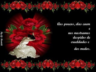 Aos poucos, elas caem e      nos mostramos despidos de       crueldades e  dos medos. 