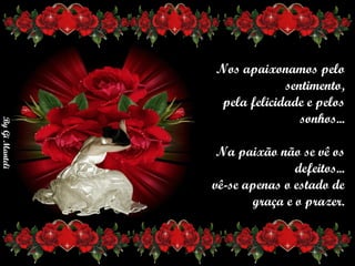 Nos apaixonamos pelo sentimento,      pela felicidade e pelos sonhos...      Na paixão não se vê os defeitos...      vê-se apenas o estado de       graça e o prazer. 