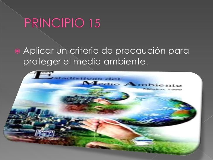 Declaración de rio sobre el medio