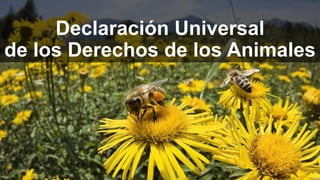 Declaración Universal
de los Derechos de los Animales

 