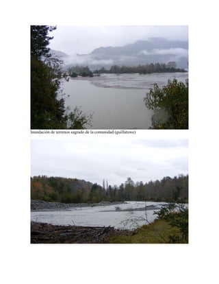 Declaracion Publica Comunidad Mapuche Inalafken
