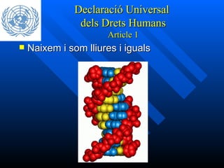 Declaració Universal  dels Drets Humans Article 1 ,[object Object]