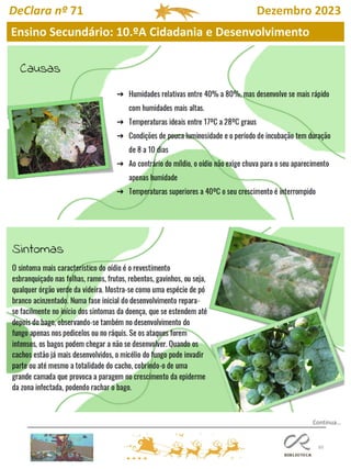 60
Ensino Secundário: 10.ºA Cidadania e Desenvolvimento
DeClara nº 71 Dezembro 2023
Continua…
 