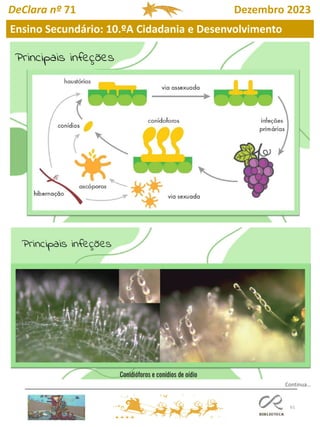 61
Ensino Secundário: 10.ºA Cidadania e Desenvolvimento
DeClara nº 71 Dezembro 2023
Continua…
 