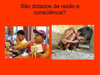São dotados de razão e consciência? 