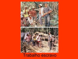 Trabalho escravo 