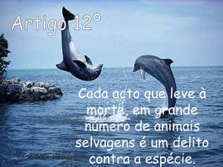 Cada acto que leve à
morte, em grande
número de animais
selvagens é um delito
contra a espécie.
 