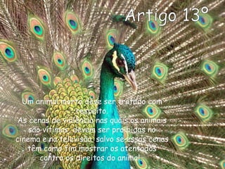 Um animal morto deve ser tratado comUm animal morto deve ser tratado com
respeito.respeito.
As cenas de violência nas quais os animaisAs cenas de violência nas quais os animais
são vítimas, devem ser proibidas nosão vítimas, devem ser proibidas no
cinema e na televisão, salvo se essas cenascinema e na televisão, salvo se essas cenas
têm como fim mostrar os atentadostêm como fim mostrar os atentados
contra os direitos do animal.contra os direitos do animal.
 