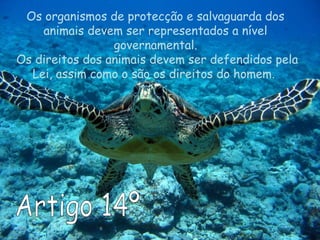 Os organismos de protecção e salvaguarda dos
animais devem ser representados a nível
governamental.
Os direitos dos animais devem ser defendidos pela
Lei, assim como o são os direitos do homem.
 