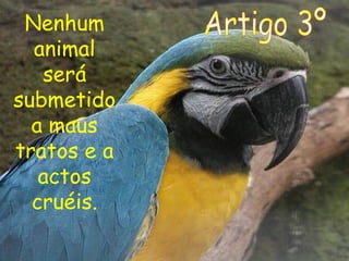 Nenhum
animal
será
submetido
a maus
tratos e a
actos
cruéis.
 
