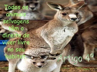 Todos os
animais
selvagens
têm o
direito de
viver livre
no seu
habitat.
 