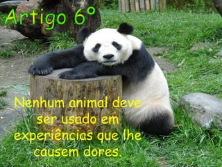 Nenhum animal deve
ser usado em
experiências que lhe
causem dores.
 