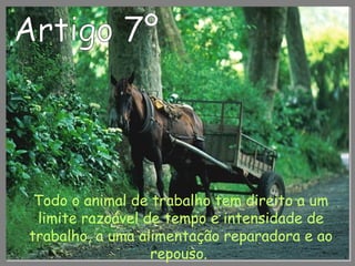 Todo o animal de trabalho tem direito a um
limite razoável de tempo e intensidade de
trabalho, a uma alimentação reparadora e ao
repouso.
 