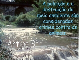 A poluição e a
destruição do
meio ambiente são
considerados
crimes contra os
animais.
 
