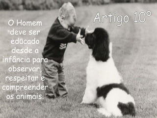 Artigo 10º O Homem deve ser educado desde a infância para observar, respeitar e compreender os animais. 