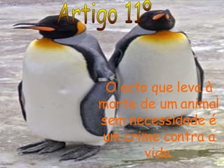 Artigo 11º O acto que leva à morte de um animal sem necessidade é um crime contra a vida. 