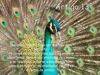 Artigo 13º Um animal morto deve ser tratado com respeito. As cenas de violência nas quais os animais são vítimas, devem ser proibidas no cinema e na televisão, salvo se essas cenas têm como fim mostrar os atentados contra os direitos do animal.  