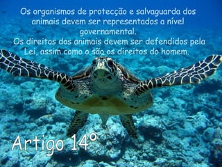 Artigo 14º Os organismos de protecção e salvaguarda dos animais devem ser representados a nível governamental.  Os direitos dos animais devem ser defendidos pela Lei, assim como o são os direitos do homem.  