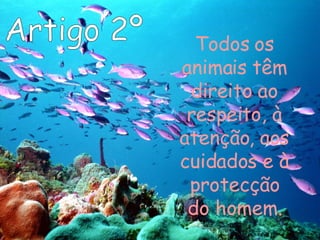 Artigo 2º Todos os animais têm direito ao respeito, à atenção, aos cuidados e à protecção do homem. 