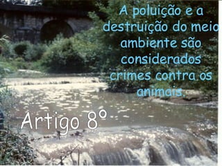 Artigo 8º A poluição e a destruição do meio ambiente são considerados crimes contra os animais. 