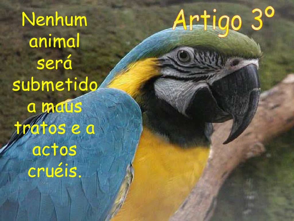 Declaração Universal dos Direitos dos Animais Declaração Universal dos Direitos dos Animais