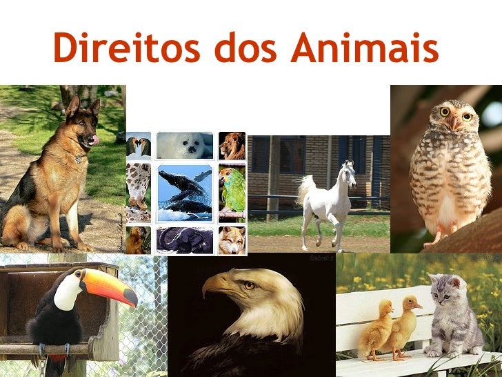 Declaração Universal Dos Direitos Dos Animais Declaração Universal Dos Direitos Dos Animais