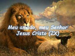 Meu amado, meu Senhor
Jesus Cristo (2X)
 