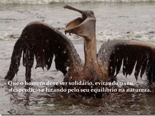 - Que o homem deve ser solidário, evitando o seu desperdício e lutando pelo seu equilíbrio nanatureza.