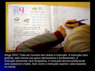 Artigo XXVI: Todo ser humano tem direito à instrução. A instrução será gratuita, pelo menos nos graus elementares e fundamentais. A instrução elementar será obrigatória. A instrução técnico-profissional será acessível a todos, bem como a instrução superior, esta baseada no mérito 