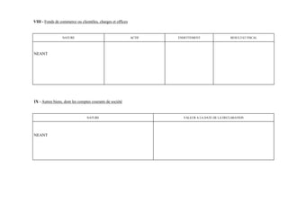 VIII - Fonds de commerce ou clientèles, charges et offices


                 NATURE                                      ACTIF   ENDETTEMENT                 RESULTAT FISCAL




NEANT




IX - Autres biens, dont les comptes courants de société


                                 NATURE                                VALEUR A LA DATE DE LA DECLARATION




NEANT
 