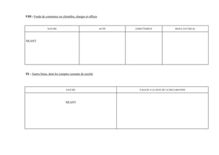 VIII - Fonds de commerce ou clientèles, charges et offices


                 NATURE                                      ACTIF   ENDETTEMENT                 RESULTAT FISCAL




NEANT




IX - Autres biens, dont les comptes courants de société




                                 NATURE                                VALEUR A LA DATE DE LA DECLARATION




                                NEANT
 