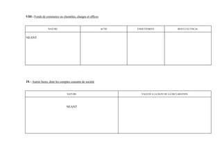 VIII - Fonds de commerce ou clientèles, charges et offices


                 NATURE                                      ACTIF   ENDETTEMENT                 RESULTAT FISCAL


NEANT




IX - Autres biens, dont les comptes courants de société


                                 NATURE                                VALEUR A LA DATE DE LA DECLARATION




                                NEANT
 
