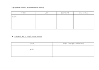 VIII - Fonds de commerce ou clientèles, charges et offices


                 NATURE                                      ACTIF   ENDETTEMENT                 RESULTAT FISCAL


NEANT




IX - Autres biens, dont les comptes courants de société




                                 NATURE                                VALEUR A LA DATE DE LA DECLARATION




                                NEANT
 