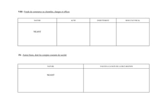 VIII - Fonds de commerce ou clientèles, charges et offices


                 NATURE                                      ACTIF   ENDETTEMENT                 RESULTAT FISCAL




                 NEANT




IX - Autres biens, dont les comptes courants de société




                                 NATURE                                VALEUR A LA DATE DE LA DECLARATION




                                NEANT
 