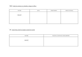 VIII - Fonds de commerce ou clientèles, charges et offices


                 NATURE                                      ACTIF   ENDETTEMENT                 RESULTAT FISCAL




                 NEANT




IX - Autres biens, dont les comptes courants de société




                                 NATURE                                VALEUR A LA DATE DE LA DECLARATION




                                NEANT
 