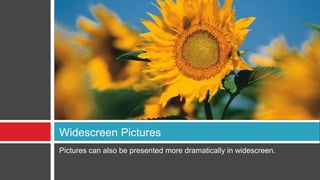 Pictures can also be presented more dramatically in widescreen.
Widescreen Pictures
 