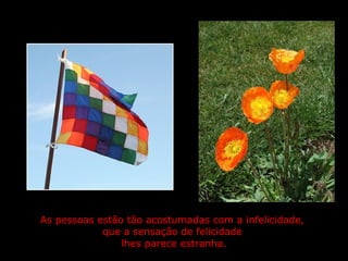 As pessoas estão tão acostumadas com a infelicidade,  que a sensação de felicidade  lhes parece estranha.   