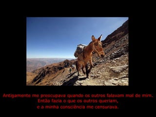 Antigamente me preocupava quando os outros falavam mal de mim. Então fazia o que os outros queriam,  e a minha consciência me censurava.   