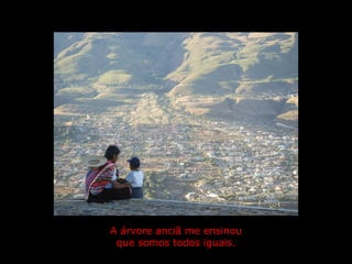   A árvore anciã me ensinou  que somos todos iguais. 