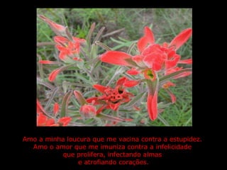 Amo a minha loucura que me vacina contra a estupidez.  Amo o amor que me imuniza contra a infelicidade  que prolifera, infectando almas  e atrofiando corações. 