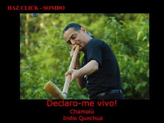 HAZ CLICK - SONIDO




            Declaro-me vivo!
                   Chamalú
                 Indio Quechua
 