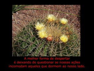 A melhor forma de despertar é deixando de questionar se nossas ações incomodam aqueles que dormem ao nosso lado. 