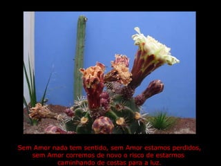 Sem Amor nada tem sentido, sem Amor estamos perdidos,  sem Amor corremos de novo o risco de estarmos  caminhando de costas para a luz.  