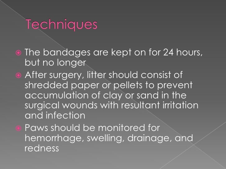 Sponge Pellets Cat Litter Sponge Pellets Cat Litter