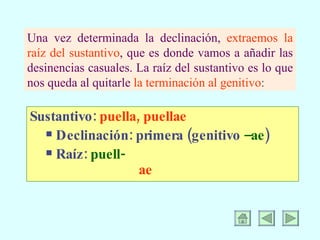 Una vez determinada la declinación,  extraemos la raíz del sustantivo , que es donde vamos a añadir las desinencias casuales. La raíz del sustantivo es lo que nos queda al quitarle  la terminación al genitivo : Sustantivo:  puella, puellae Declinación: primera (genitivo  –ae ) Raíz:  puell-  ae 