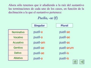 Ahora sólo tenemos que ir añadiendo a la raíz del sustantivo las terminaciones de cada uno de los casos, en función de la declinación a la que el sustantivo pertenece: Puella, -ae  (f) Singular Plural puell- a puell- a puell- am puell- ae puell- ae puell- a puell- ae puell- ae puell- as puell- arum puell- is puell- is Ablativo Dativo  Genitivo Acusativo Vocativo Nominativo 