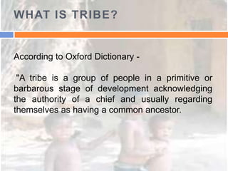Tribes Developmental Process Tribal development management lecture by Dr. V.P.Sharma , NIRD, 2013 | PPTX