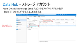Data Hub - ストレージ アカウント
ADLS Gen2 ストレージ
コンテナー (ファイルシステム)
ファイル パス
 